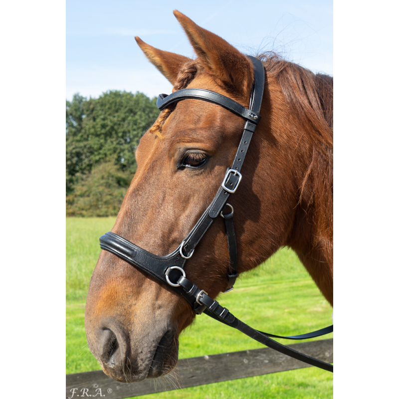 Runa Bridle 2 in 1 - FRA