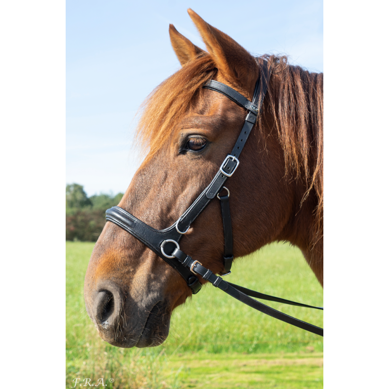 Runa Bridle 2 in 1 - FRA