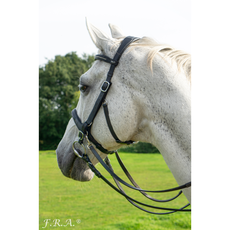 Runa Bridle 2 in 1 - FRA