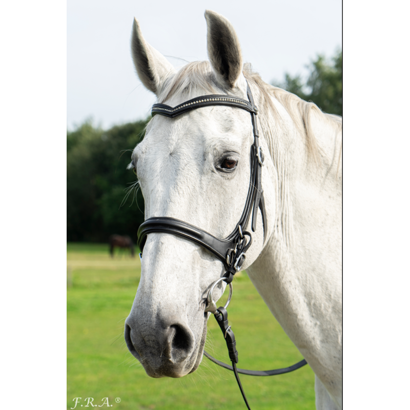 Runa Bridle 2 in 1 - FRA