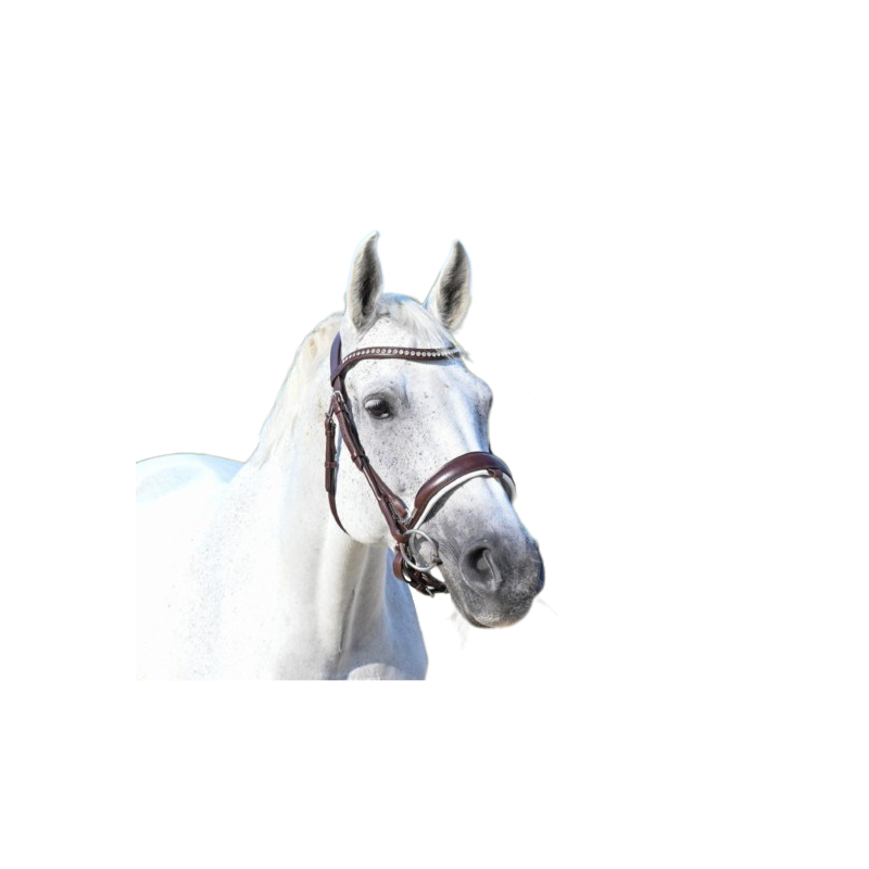 Bridle "Poesia"
