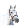 Bridle "Poesia"
