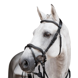 Amazzone Bridle