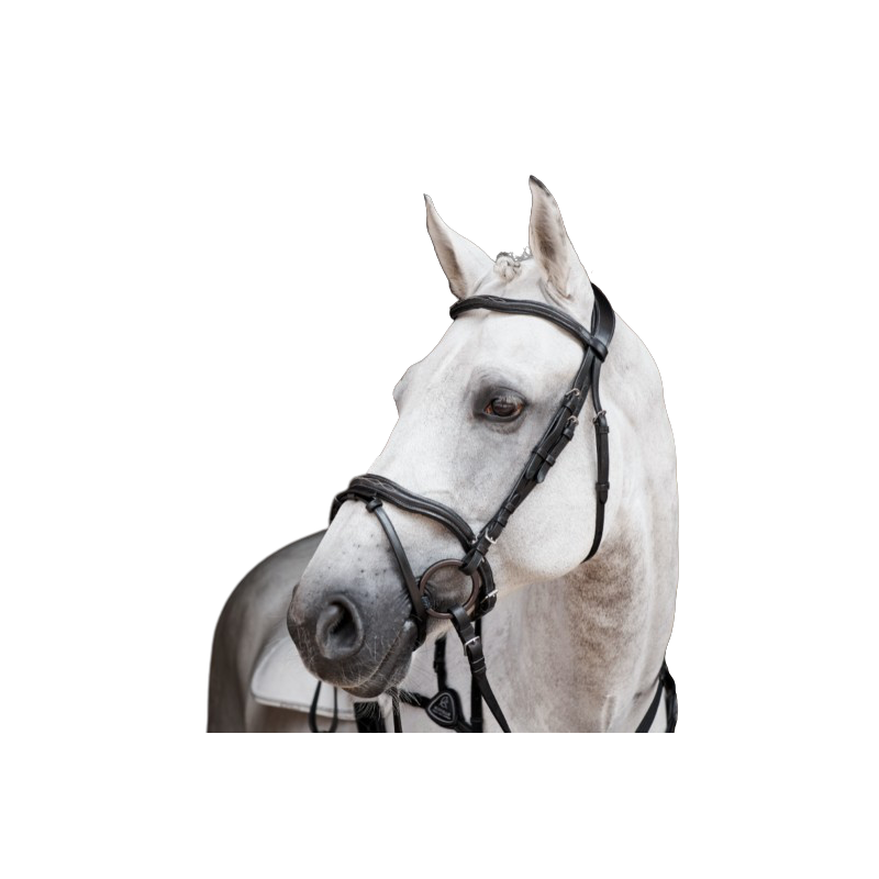 Amazzone Bridle