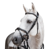 Amazzone Bridle