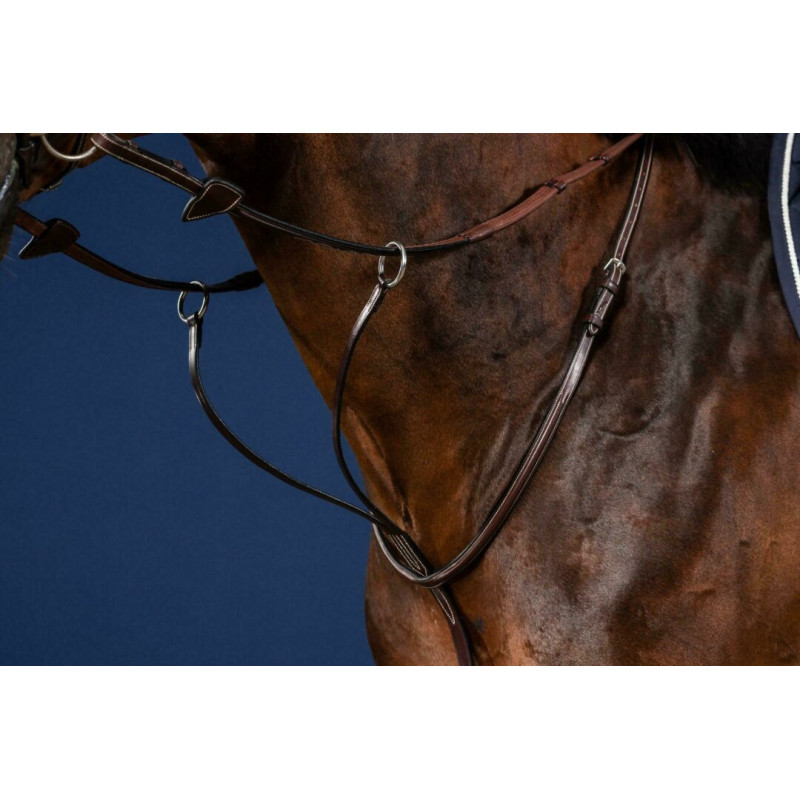 Running Martingale Dy'on