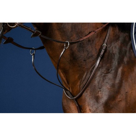 Running Martingale Dy'on