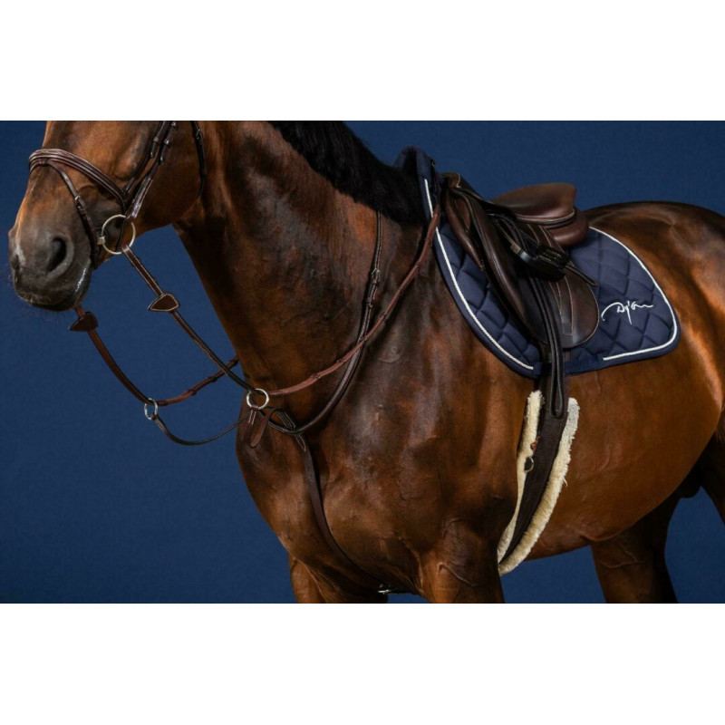Running Martingale Dy'on