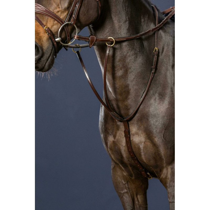 Running Martingale D Collection