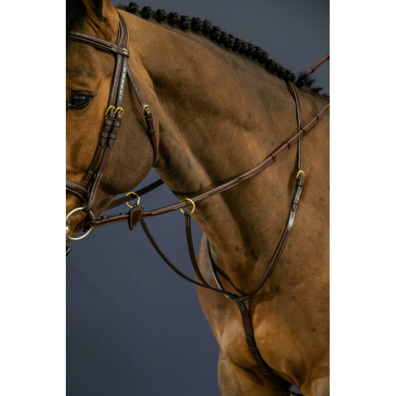 Running Martingale D Collection