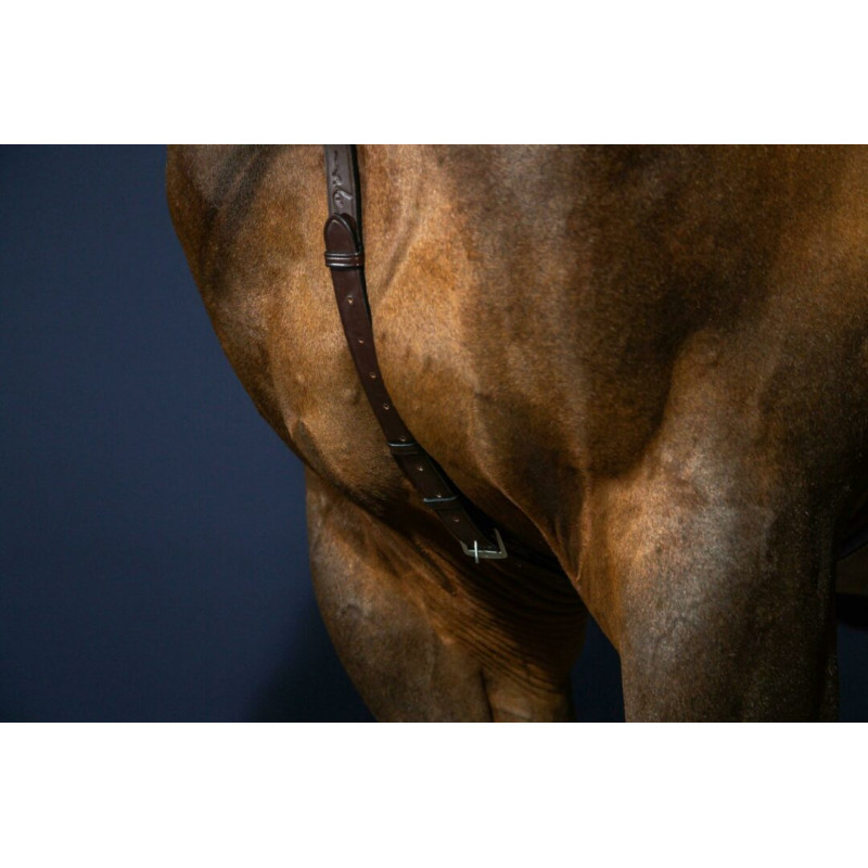 Running Martingale Dy'on