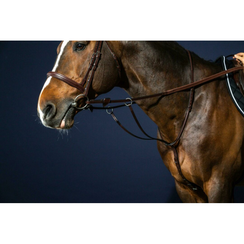 Running Martingale Dy'on
