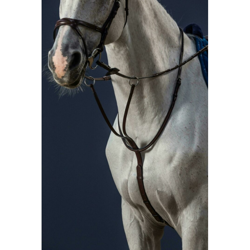 Running Martingale Dy'on