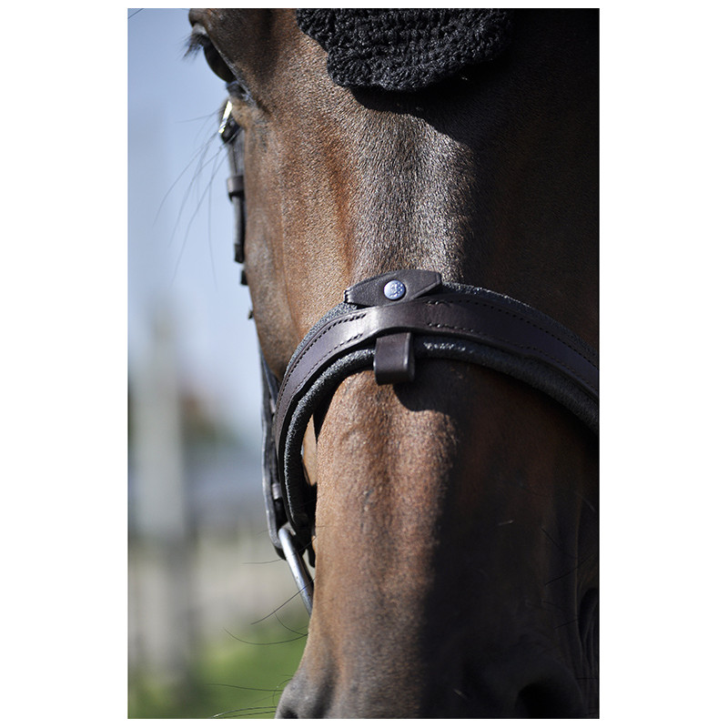 Bridle "evolution" with pull back contact Soft T by IHWT