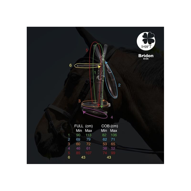 Bridle "evolution" Soft T without noseband by IHWT