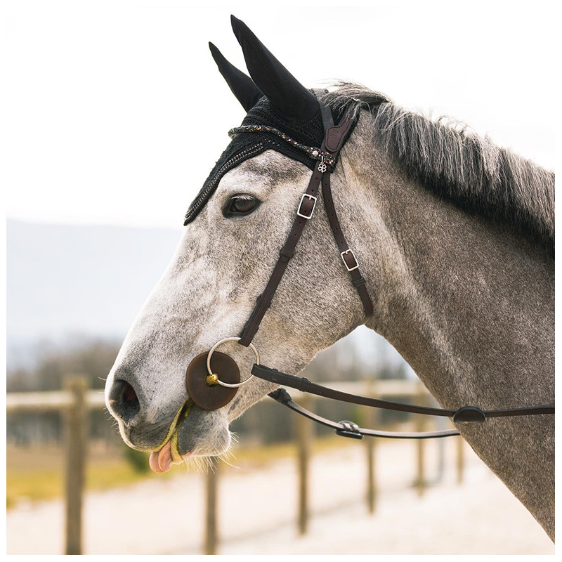 Bridle "evolution" Soft T without noseband by IHWT
