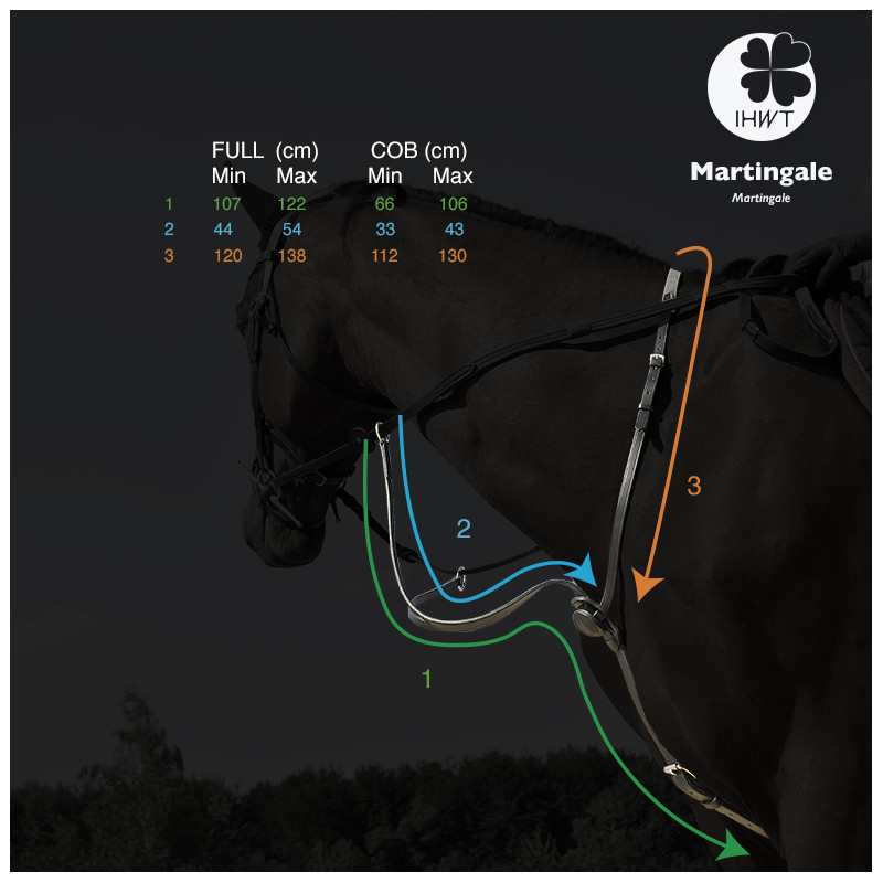 Martingale C-Cure by IHWT