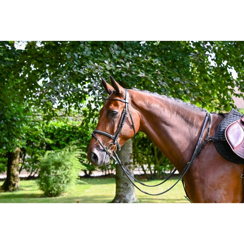 Monday Bridle - Week