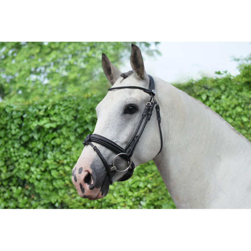 Bridle Week Friday