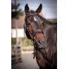 Bridle Week Friday