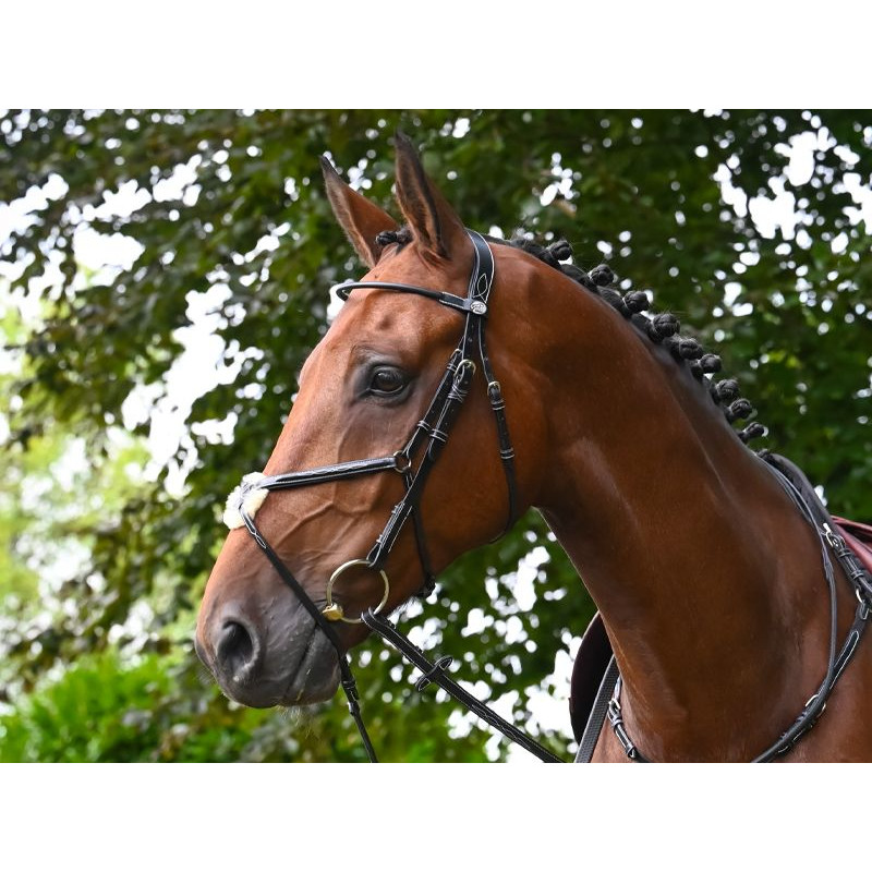 Monday Bridle - Week