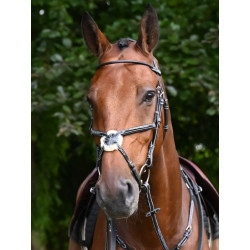 Monday Bridle Noseband...