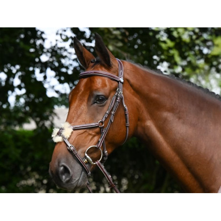 Thursday Bridle Noseband Mexican - Week