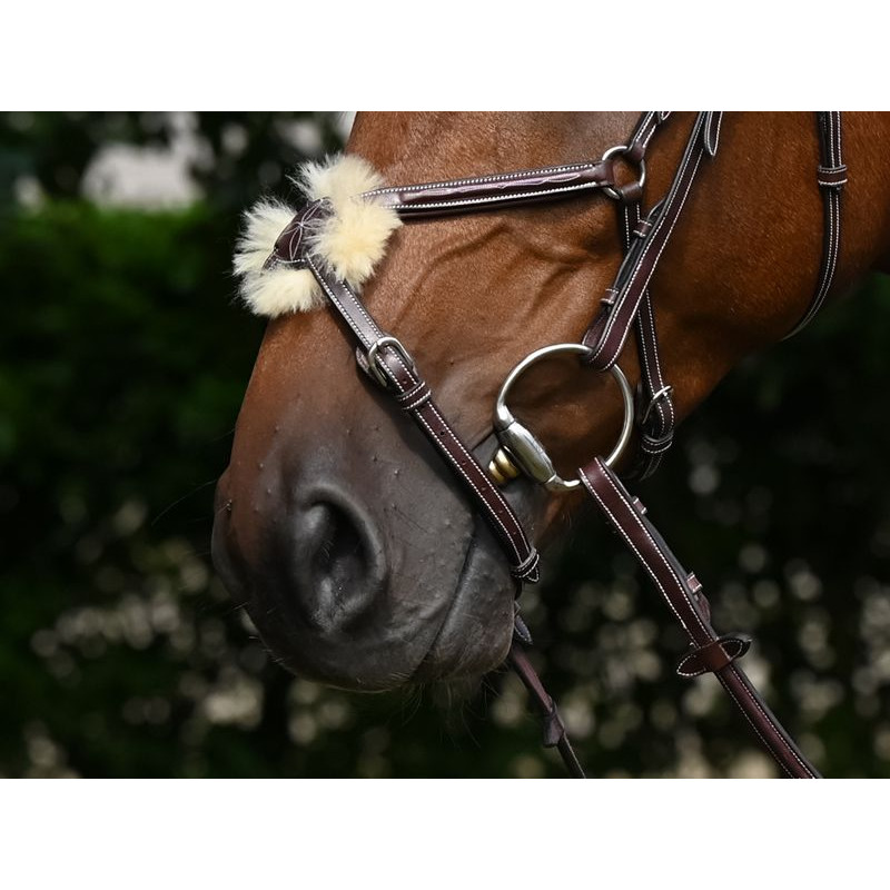 Thursday Bridle Noseband Mexican - Week