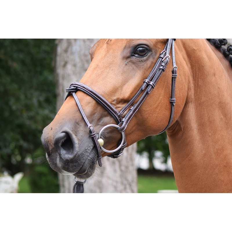 Thursday Bridle - Week