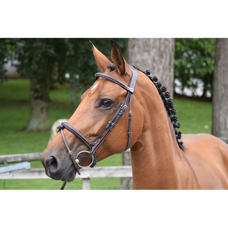 Thursday Bridle - Week