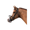 Tuesday Bridle - Week