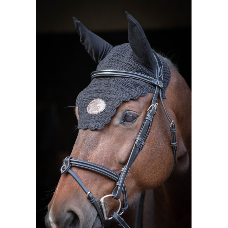 Tuesday Bridle - Week