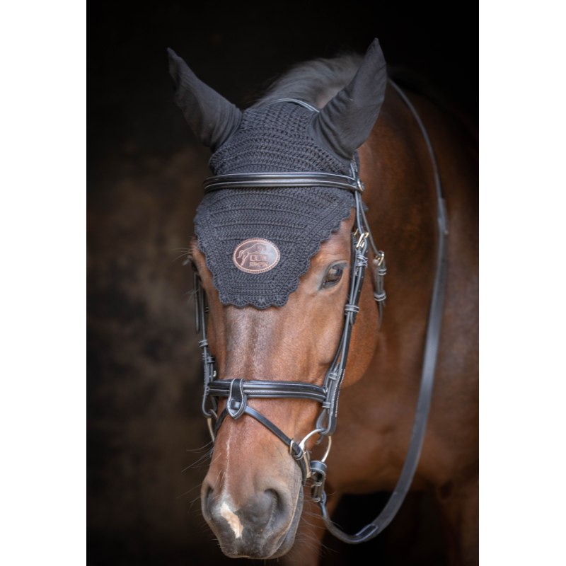 Tuesday Bridle - Week
