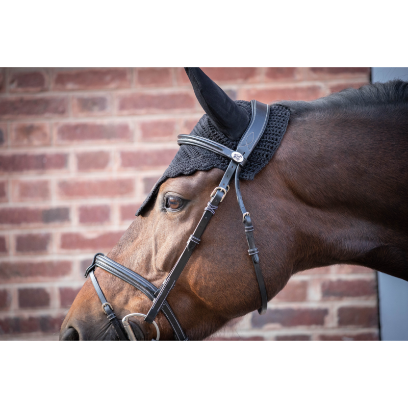 Tuesday Bridle - Week