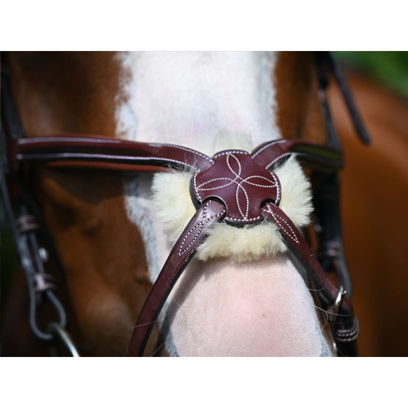 Tuesday Bridle Noseband Mexican - Week