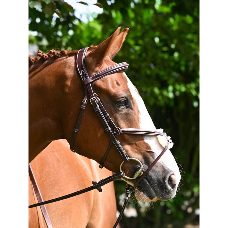 Tuesday Bridle Noseband Mexican - Week