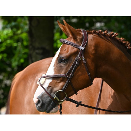 Tuesday Bridle Noseband Mexican - Week