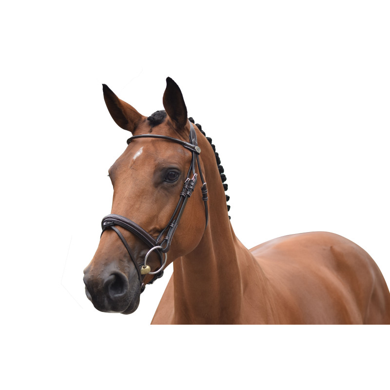 Wednesday Bridle - Week