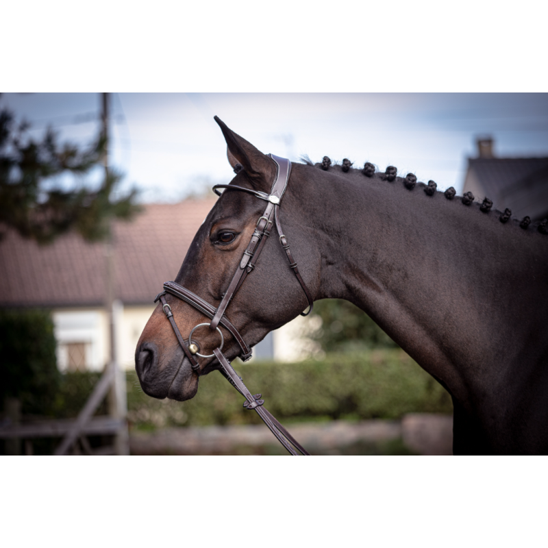 Wednesday Bridle - Week