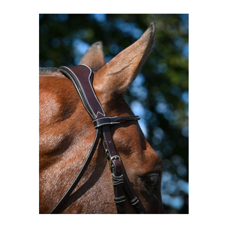 Wednesday Bridle mexican noseband - Week