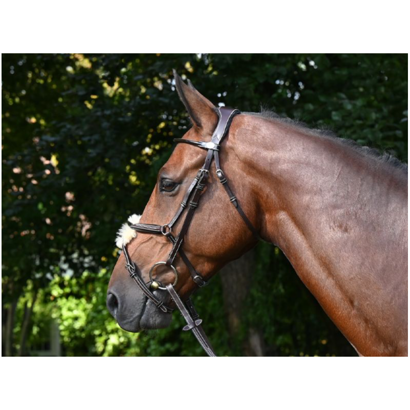 Wednesday Bridle mexican noseband - Week