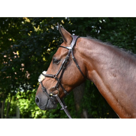 Wednesday Bridle mexican noseband - Week