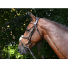 Wednesday Bridle mexican noseband - Week