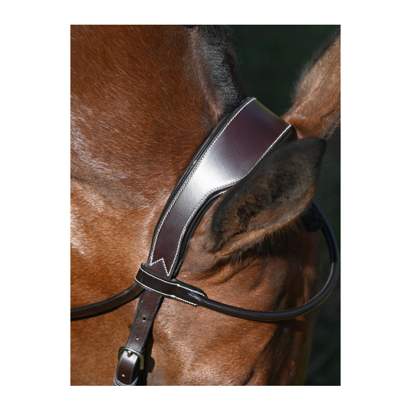 Wednesday Bridle mexican noseband - Week