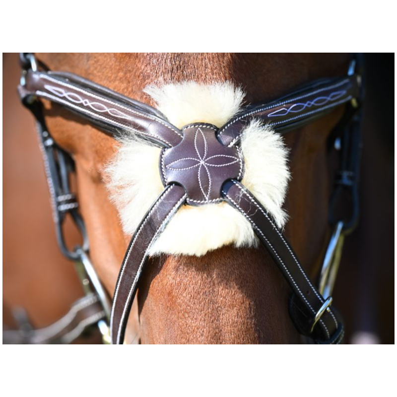 Wednesday Bridle mexican noseband - Week