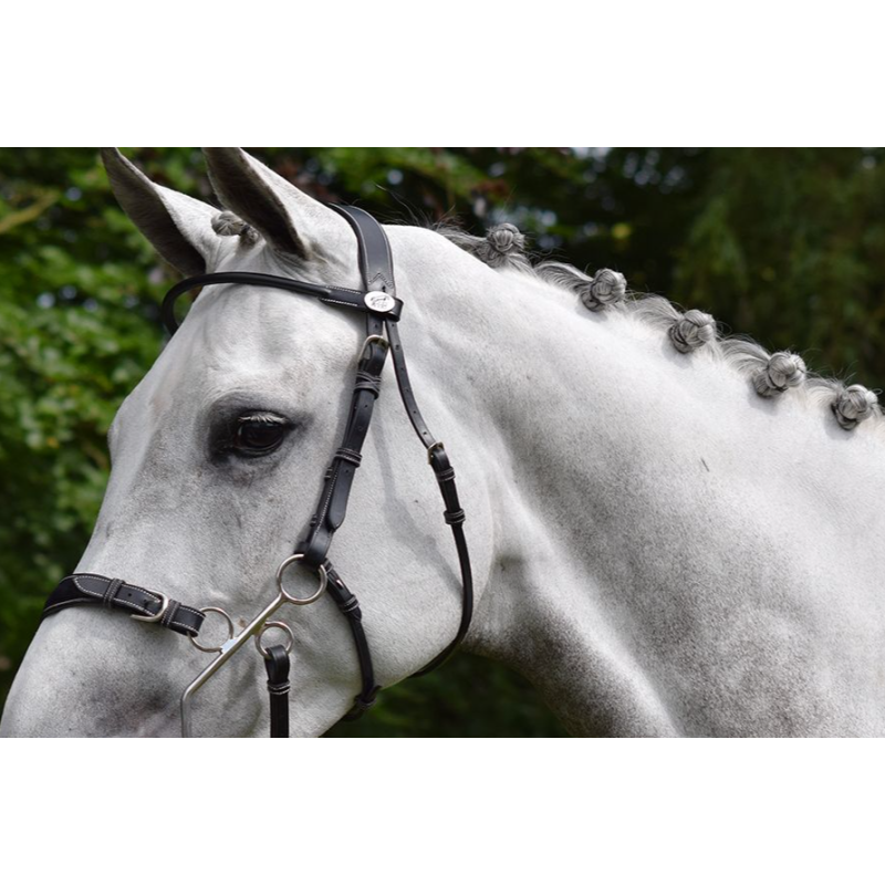 Hackamore Bridle - Week