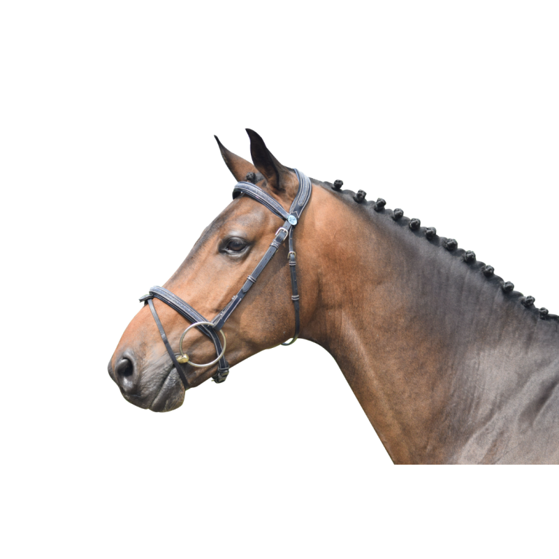 Crystal Bridle - Week