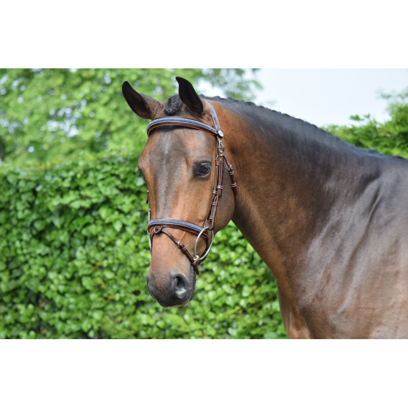 Crystal Bridle - Week