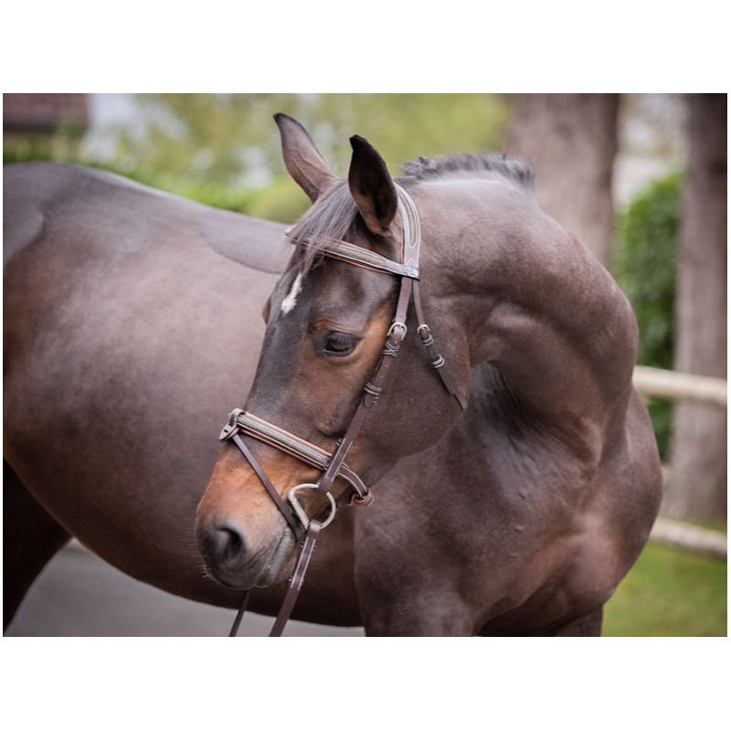 Crystal Bridle - Week