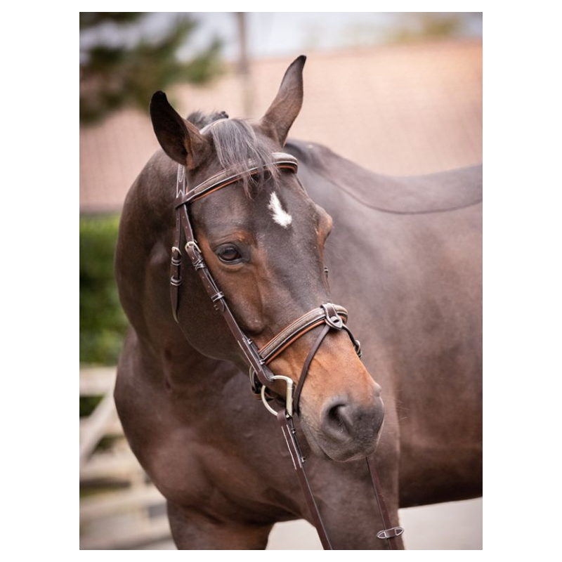 Crystal Bridle - Week